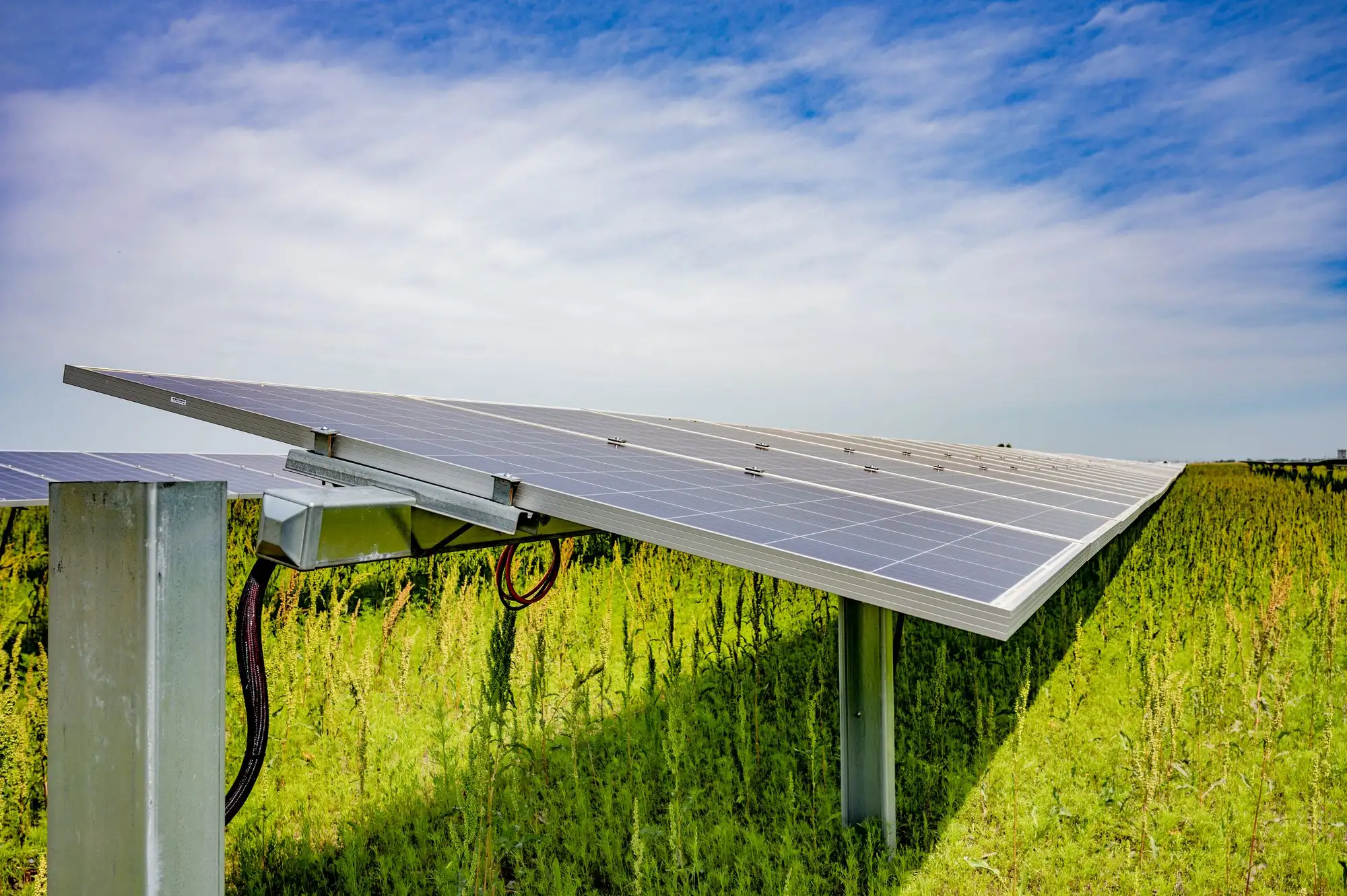 Ground-mounted solar array in a green paddock